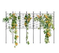 Traliccio per piante rampicanti da giardinaggio | Cornice di supporto vegetale per gigli, glorie del mattino, piselli dolci, rose, cetrioli, pomodori