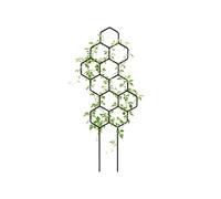 Traliccio per Piante Rampicanti da Interno - 2 Pezzi Supporto per Rampicanti Interno ed Esterno | Traliccio per Piante,Per Giardinieri, Casa Appartamento Soggiorno Balcone Portico Patio Gia