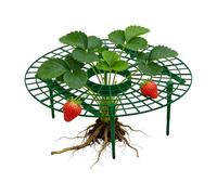 Traliccio per piante - Struttura di supporto resistente per giardinaggio - Tutor per piante di fragola - per scalpatrici ortaggi e giardini, terrazze e balconi