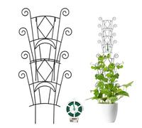Traliccio per piante - Supporto da giardino in metallo, costruzione durevole resistente alla ruggine, design robusto del, facile da installare, pali per interni ed esterni, balcone, viti Pothos