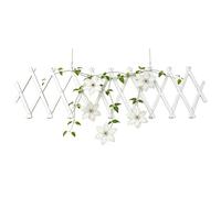 Traliccio per Piante, Supporto Estensibile Decorativo e Rinforzato, Supporto per Piante da Giardino a Griglia, per Rampicanti Fiorite Rose Recinzioni Muri Balconi
