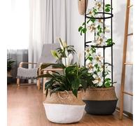 Traliccio per recinzione, regolabile, supporto per piante per piante di vite, fagioli, melanzane, cetrioli, rose da giardino, obelisco, supporto per giardino, antiruggine, decorazione da parete per
