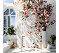 Traliccio per rose a mezzaluna resistente alle intemperie per piante rampicanti galvanizzato supporto da giardino esterno facile installazione H 240x270 cm Ideale per la decorazione del giardino e la