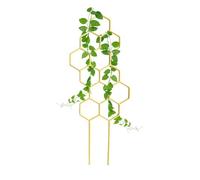 Traliccio Piante Da Interno | A Pilastro Per Crescita Verticale Da Giardino,Traliccio Supporto Viti Rampicanti - Rampicanti, Pothos, Fiori, Monstera, Pothos E Balcone Esterno