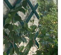 Tenax Traliccio estensibile Treplast in PVC 1,00x3 m Verde per piante rampicanti