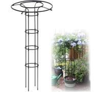 Traliccio verticale antiruggine per piante rampicanti, robusto supporto per fiori da esterno, per viti, rose e glicine
