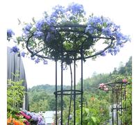 Traliccio verticale da giardino per piante rampicanti, 210 cm, supporto in metallo antiruggine per glicine, rose e rampicanti, gabbia di supporto per ombrelloni