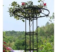 Traliccio verticale da giardino per piante rampicanti, antiruggine, 120 cm, gabbia di supporto per glicine, supporto per fiori e rampicanti, design a ombrello, per piante rampicanti