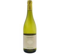 Pinot Grigio Alto Adige DOC Cantina Termeno 2020