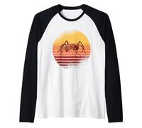 Tramonto della Formica nel Design retrò Maglia con Maniche Raglan
