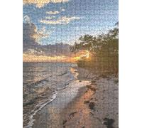 Tramonto Mare Puzzle 1000 Pezzi, 3D Puzzle per Adulti Impegnativo, Educa Puzzles Artistico, Divertente E Stimolante Puzzles Decorativo per La Famiglia, Regalo e Decorazione Pareti FNKL6-863