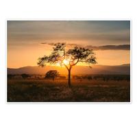 Tramonto nella savana della valle di Kidepo, Uganda Poster di Marcel Gross 100 x 70 cm Marrone Quadri Decorazione per pareti