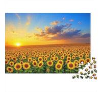 Tramonto su un campo di girasoli Puzzle Cielo floreale al crepuscolo 1000 Pezzi Cartone Resistente Per Famiglia, Rilassante Sfida, Regalo Compleanno Immagini Vibranti Esclusivo 52x38cm/1000pcs
