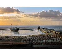 Tramonto sul mare - Set di puzzle in legno da 500 pezzi: gioco di puzzle rilassante fai da te, rompicapo (14 anni+)