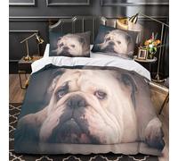 Tramonto sulla cattedrale copripiumino 3 Pezzi microfibra morbida stampa 3D con cerniera con federe per cuscini Architettura gotica Set Di Copripiumino for adulti e bambini Super king（260x220cm）