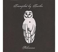 Trampled By Turtles - Palomino