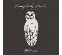 Trampled By Turtles - Palomino