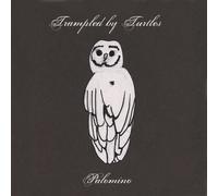 Trampled By Turtles - Palomino