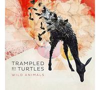 Trampled By Turtles - Wild Animals