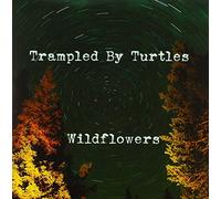 Trampled By Turtles - Wildflowers