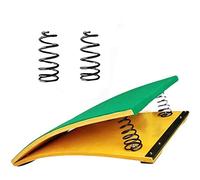 Trampolino da Ginnastica Junior, 2 Molle con Molla in Acciaio, per Giovani e Piccoli ginnasti/Arti Marziali/Allenamento Scolastico, Pavimento Elastico (Colore: Verde, Dimensioni: 8