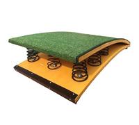 Trampolino per esercizi pesanti per ginnastica e allenamento, opzioni di molla di potenza 4/6/9, capacità di peso massima di 240 libbre, grado di centro palestra per palestra di casa 4 springs