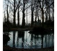 Trancelike Void - Where the Trees Can Make It Ra