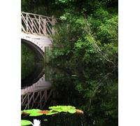 Tranquil Bridge Over Lotus Pond