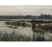Tranquil Marshland Scene Poster Serene Nature Wall Art - 16x12/20x16/24x18/36x24