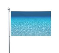 Tranquil Underwater Scenery Outdoor Four Seasons Flag Double Sided Holiday Flag Con Buttonhole Sfondo Decorativo Forniture per il Partito