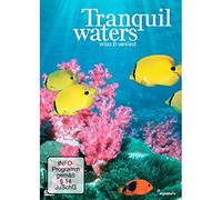 Tranquil Waters. Relax & Unwind