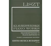 Transcriptions VI Schwanengesang - Winterreise. Lieder von Franz Schubert Volume (II/21)
