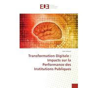 Transformation Digitale : Impacts sur la Performance des Institutions Publiques