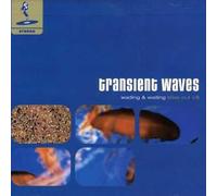 Transient Waves Wading & Waiting: Bliss Out Vol.8 (CD)