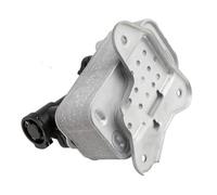 Transmission Oil Cooler 17217800408 Radiatore olio trasmissione diesel adatto per BMW E90 E92 E93 325d 330d F07 F10 F11 525d 530d 535d F02 730Ld X5 E70 Oil Cooler Engine Radiator