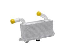 Transmission Oil Cooler 68485460AB Radiatore dell'olio Radiatore della trasmissione Adatto per JEEP Adatto per WRANGLER Adatto per Grand Adatto per Cherokee 2.0L 2016-2023