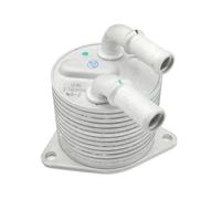 Transmission Oil Cooler CK160717 Radiatore di raffreddamento dell'olio del cambio automatico del motore adatto per GAC Trumpchi GS8 GA8 2016-2020