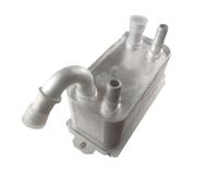 Transmission Oil Cooler RADIATORE OLIO TRASMISSIONE 08-13 Adatto per S60 S80 V70 XC60 XC70 30792231 1446535, 30645800, 6G91-7A095-AD 6G917A095AD Radiatore Rafredamento Motore