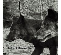 Transsektoral by Barker & Baumecker