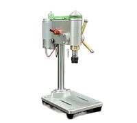 Trapano a colonna, Mini trapano da banco ad alta precisione, piccola macchina for foratura, micro macchina for punzonatura for riparazione orologi di precisione, piccola macchina for foratura