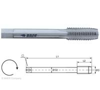 Trapano A Vite Baer Set Di Maschi Metrico HSSG M1 - M30