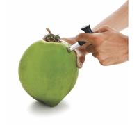 Trapano avvitatore in acciaio inossidabile apri cocco con bastone detergente ...