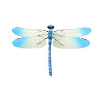 Trapper per libellule, dispositivo cattura mosche, realistico, ornamento per catturare mosche a forma di libellula, sicuro per la casa, zapper per mosche da appendere, controllo interno ed esterno