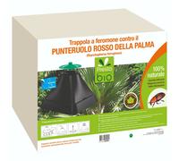 Trappola a feromoni contro il punteruolo rosso della palma