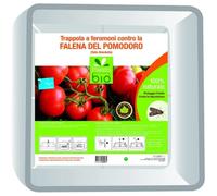 TRAPPOLA A FEROMONI FALENA DEL POMODORO TUTA ABSOLUTA PRESTO BIO
