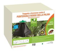 TRAPPOLA A FEROMONI PUNTERUOLO ROSSO DELLA PALMA PRESTO BIO