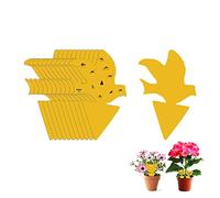 Trappola adesiva per moscerini della frutta, 12 pezzi, trappole per moscerini e funghi, trappola per insetti, adesivo giallo per cucina, interni ed esterni, cattura mosche bianche, zanzare, funghi