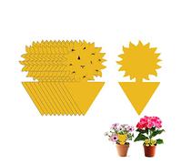 Trappola adesiva per moscerini della frutta, 24 pezzi, trappole per moscerini e funghi, trappole per insetti, adesivo giallo per cucina, interni ed esterni, cattura mosche bianche, zanzare, funghi