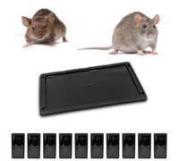 ® Trappola Adesiva per Topi E Ratti, Grandi Trappole Con Colla Professionali, Ca