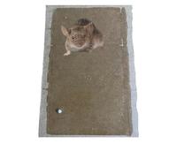 Trappola Adesiva per Topi e Ratti, raggni, scorpioni, scarafaggi, blatte Grande Trappola per Topi, Tavoletta per Topi Grandi, per Roditori, Colla Aromatizzata Extra Forte (3, mm 17,50 x 27,50 x 3)